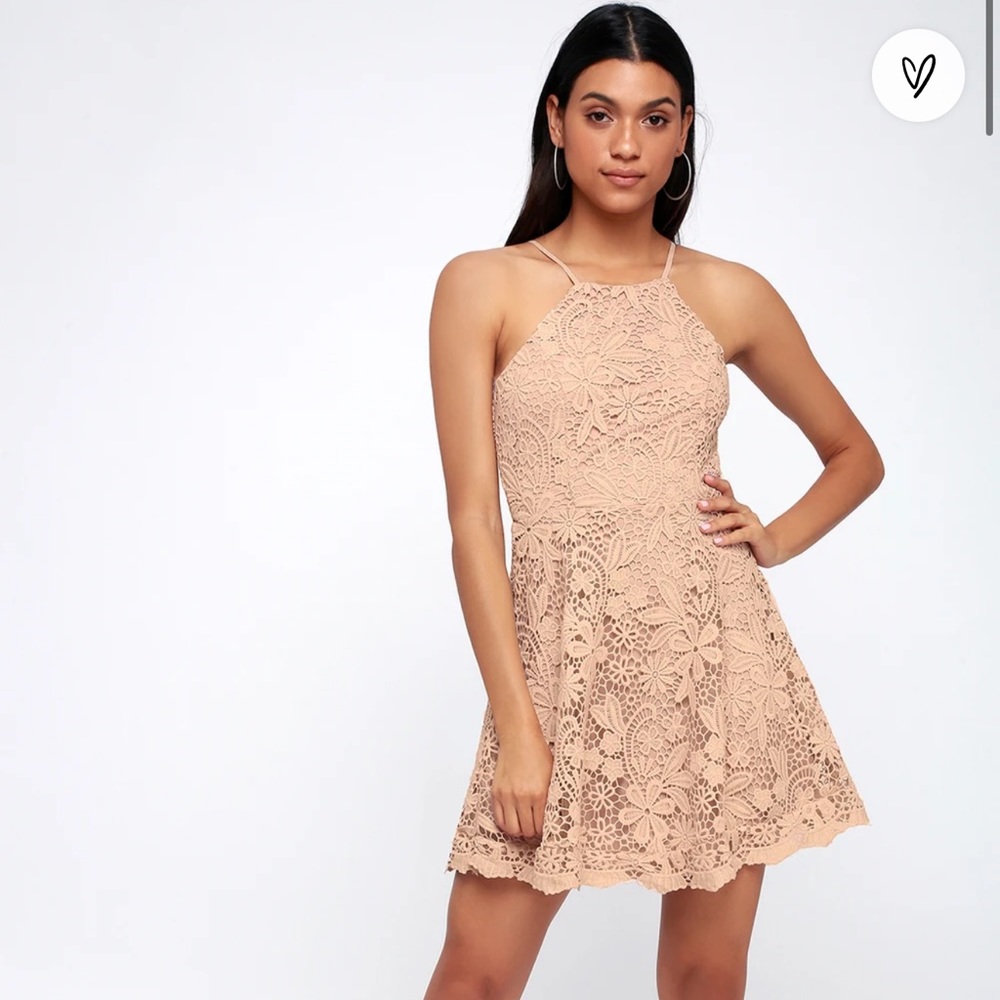 Lulus Love In the Air Nude Lace Skater Dress
